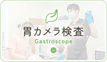 胃カメラ検査 Gastroscope