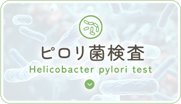 ピロリ菌検査 Helicobacter pylori test