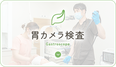 胃カメラ検査 Gastroscope