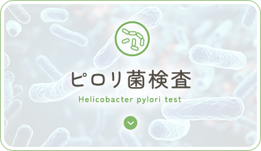 ピロリ菌検査 Helicobacter pylori test